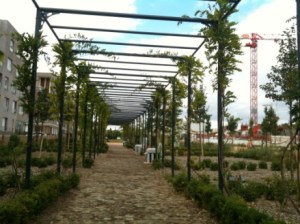 1LOTISSEMENT DE LA CROIX  PETIT - CERGY